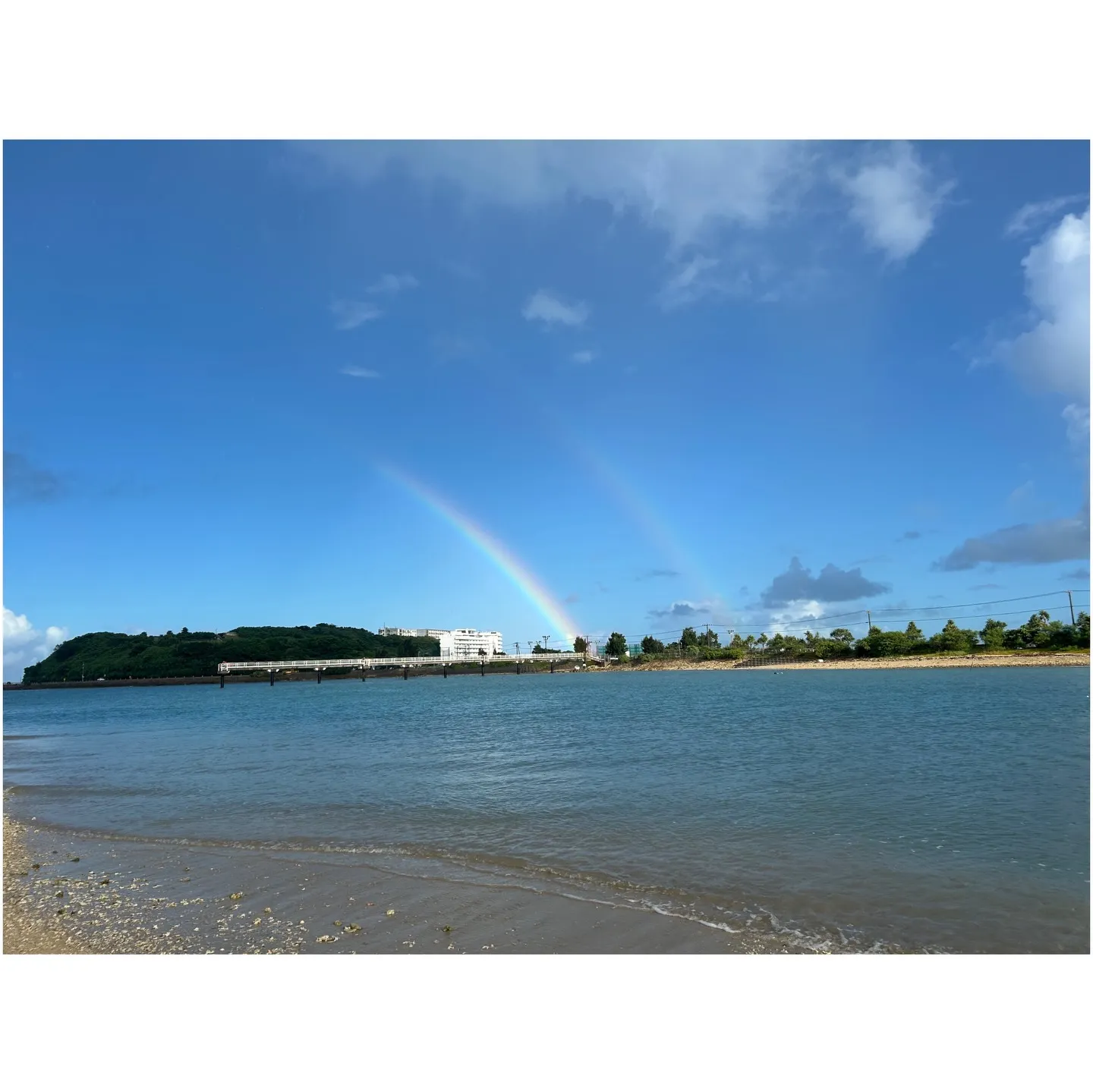 2025年もたくさんの成長を目の当たりにし、また感動とパワー...